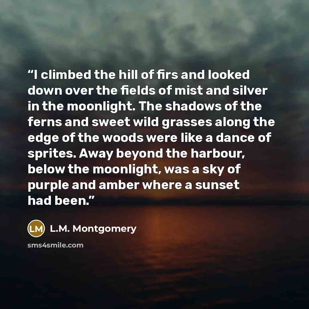 “I climbed the hill of firs and looked down over the fields of mist and silver in the moonlight. The shadows of the ferns and sweet wild grasses along the edge of the woods were like a dance of sprites. Away beyond the harbour, below the moonlight, was a sky of purple and amber where a sunset had…” quote by L.M. Montgomery