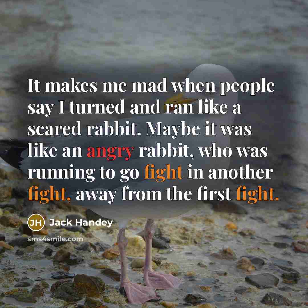 “It makes me mad when people say I turned and ran like a scared rabbit. Maybe it was like an angry rabbit, who was running to go fight in another fight, away from the first fight.” quote by Jack Handey