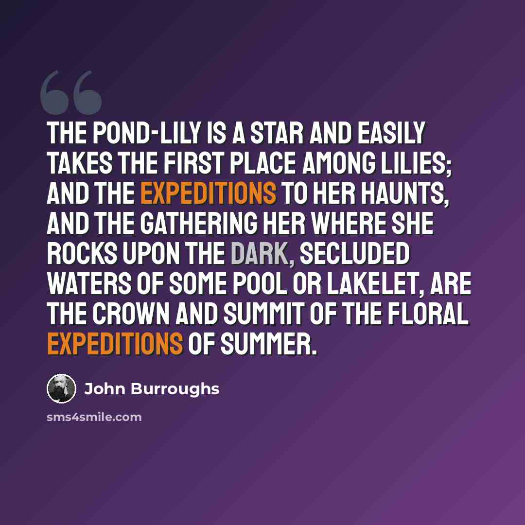 “The pond-lily is a star and easily takes the first place among lilies; and the expeditions to her haunts, and the gathering her where she rocks upon the dark, secluded waters of some pool or lakelet, are the crown and summit of the floral expeditions of summer.” quote by John Burroughs