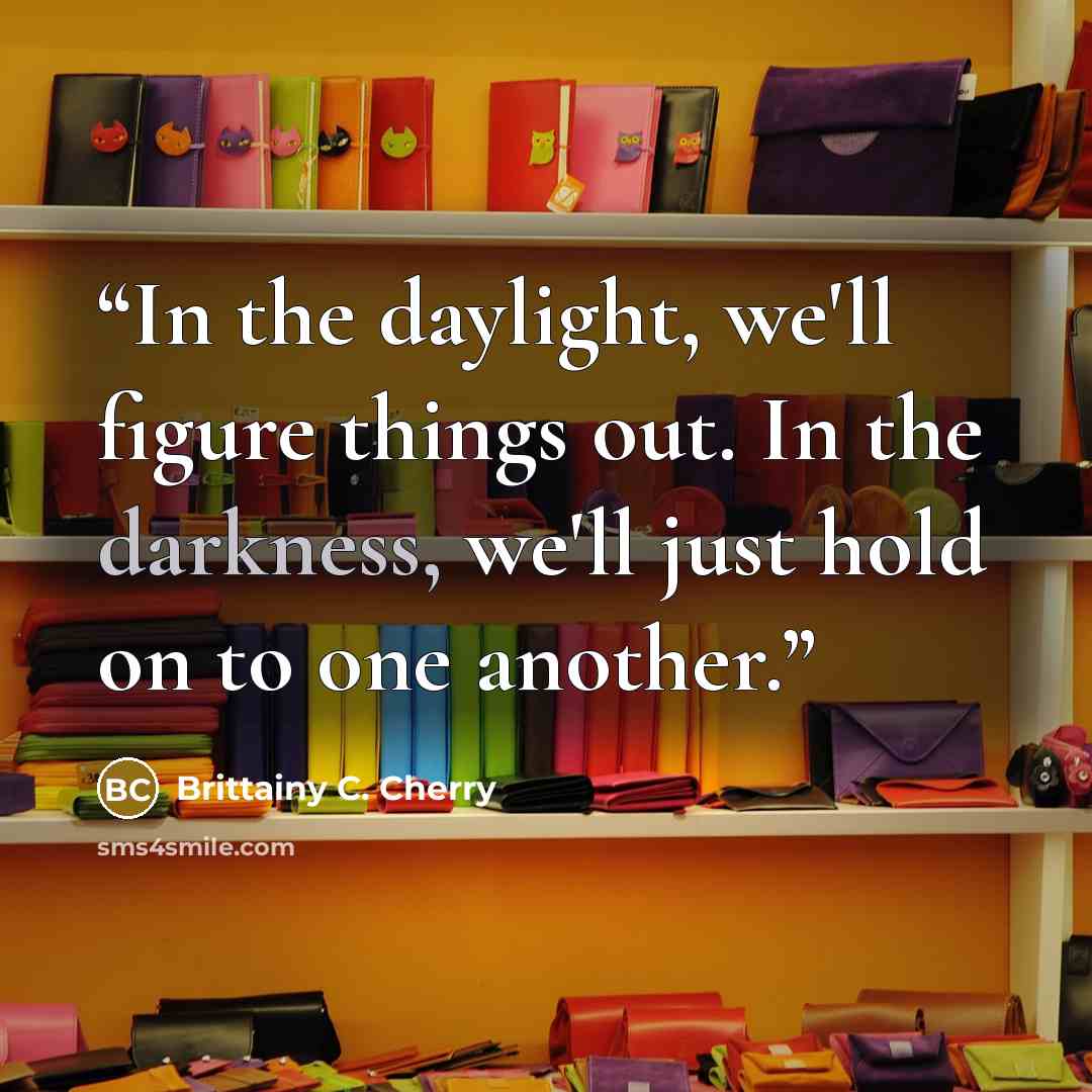 “In the daylight, we'll figure things out. In the darkness, we'll just hold on to one another.” quote by Brittainy C. Cherry