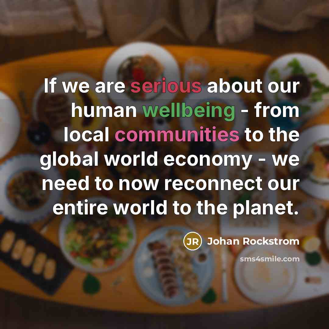 “If we are serious about our human wellbeing - from local communities to the global world economy - we need to now reconnect our entire world to the planet.” quote by Johan Rockstrom