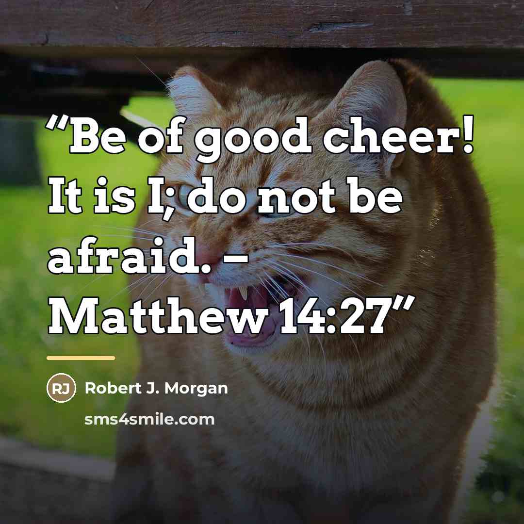 “Be of good cheer! It is I; do not be afraid. – Matthew 14:27” quote by Robert J. Morgan