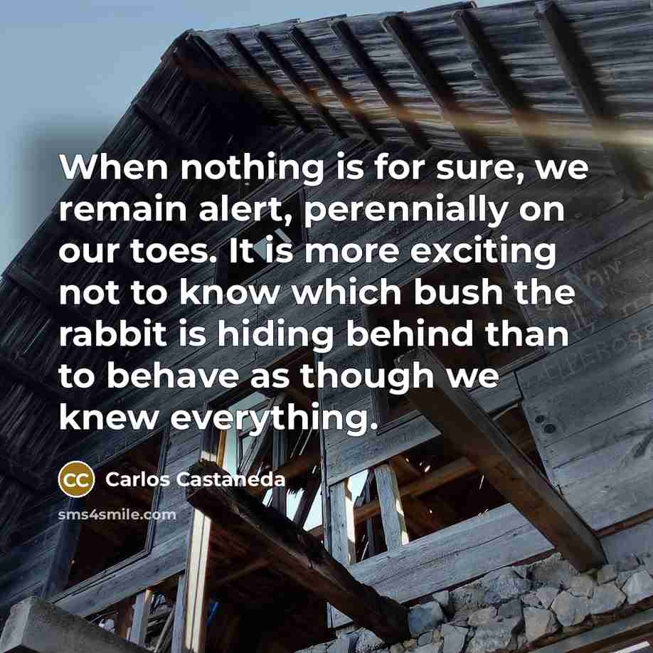 “When nothing is for sure, we remain alert, perennially on our toes. It is more exciting not to know which bush the rabbit is hiding behind than to behave as though we knew everything.” quote by Carlos Castaneda