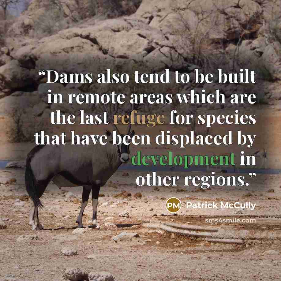 “Dams also tend to be built in remote areas which are the last refuge for species that have been displaced by development in other regions.” quote by Patrick McCully