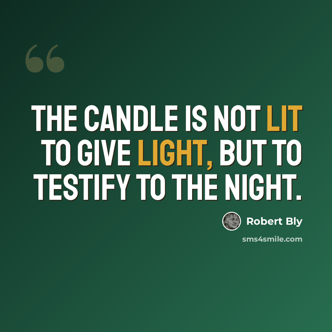 “The candle is not lit To give light, but to testify to the night.” quote by Robert Bly