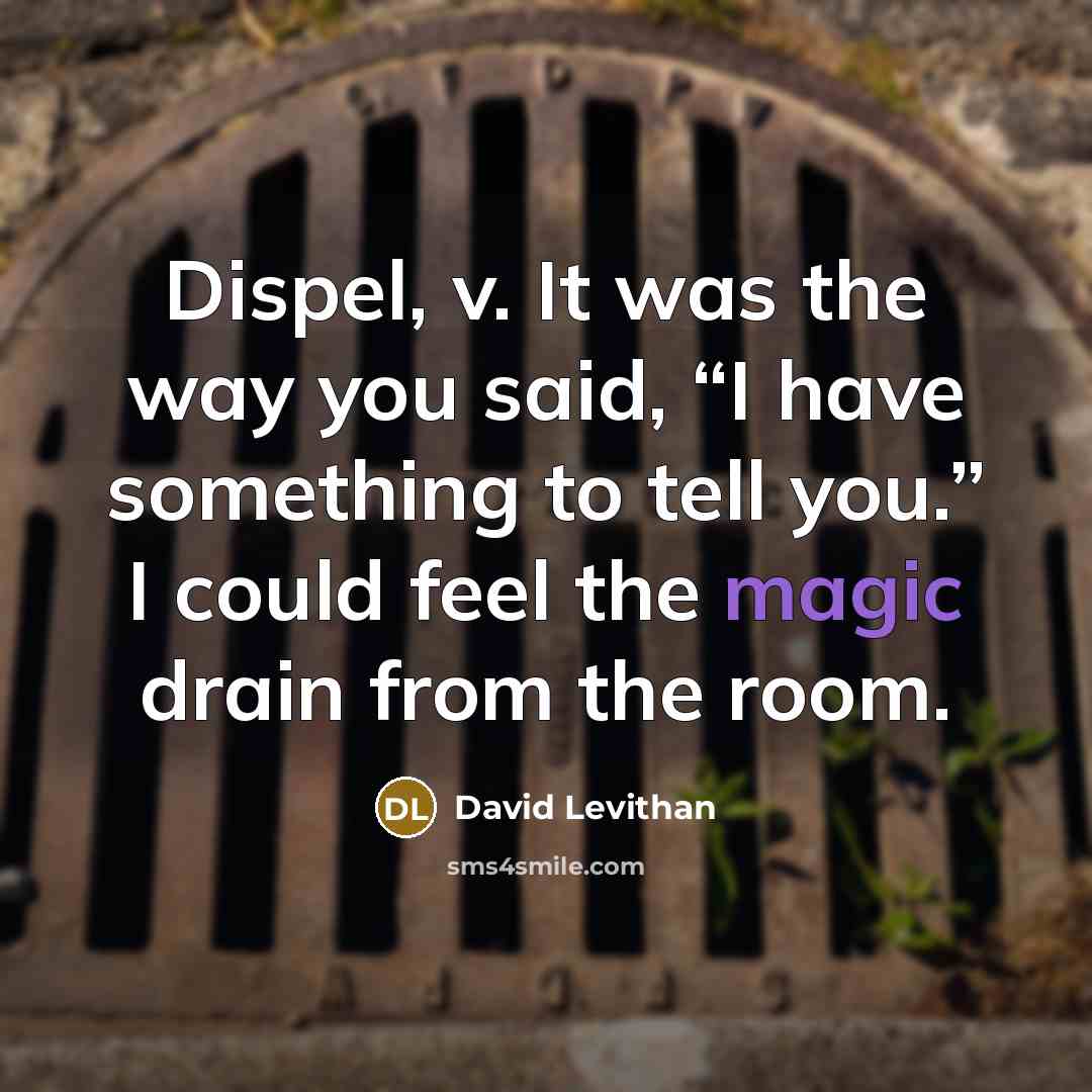 “Dispel, v. It was the way you said, “I have something to tell you.” I could feel the magic drain from the room.” quote by David Levithan