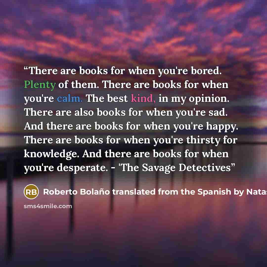 “There are books for when you're bored. Plenty of them. There are books for when you're calm. The best kind, in my opinion. There are also books for when you're sad. And there are books for when you're happy. There are books for when you're thirsty for knowledge. And there are books for when you're…” quote by Roberto Bolaño translated from the Spanish by Natasha Wimmer