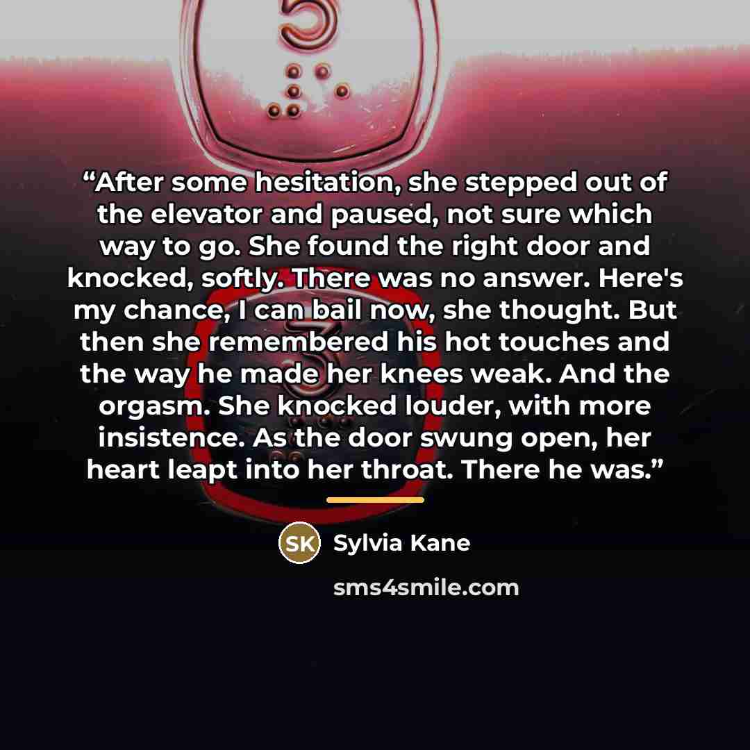 “After some hesitation, she stepped out of the elevator and paused, not sure which way to go. She found the right door and knocked, softly. There was no answer. Here's my chance, I can bail now, she thought. But then she remembered his hot touches and the way he made her knees weak. And the orgasm…” quote by Sylvia Kane