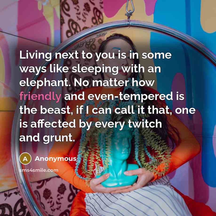 “Living next to you is in some ways like sleeping with an elephant. No matter how friendly and even-tempered is the beast, if I can call it that, one is affected by every twitch and grunt.” quote by Anonymous