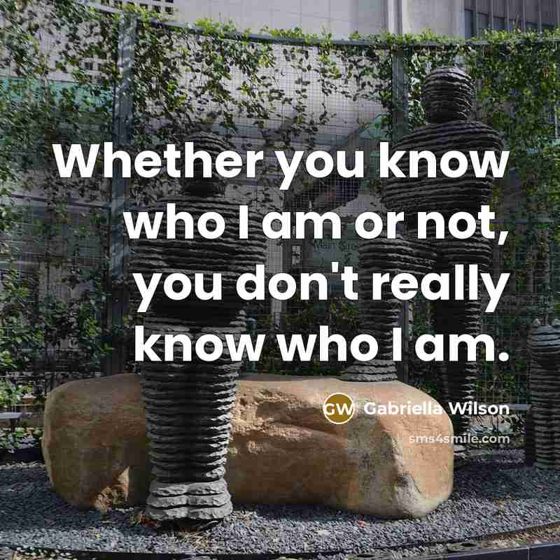 “Whether you know who I am or not, you don't really know who I am.” quote by Gabriella Wilson