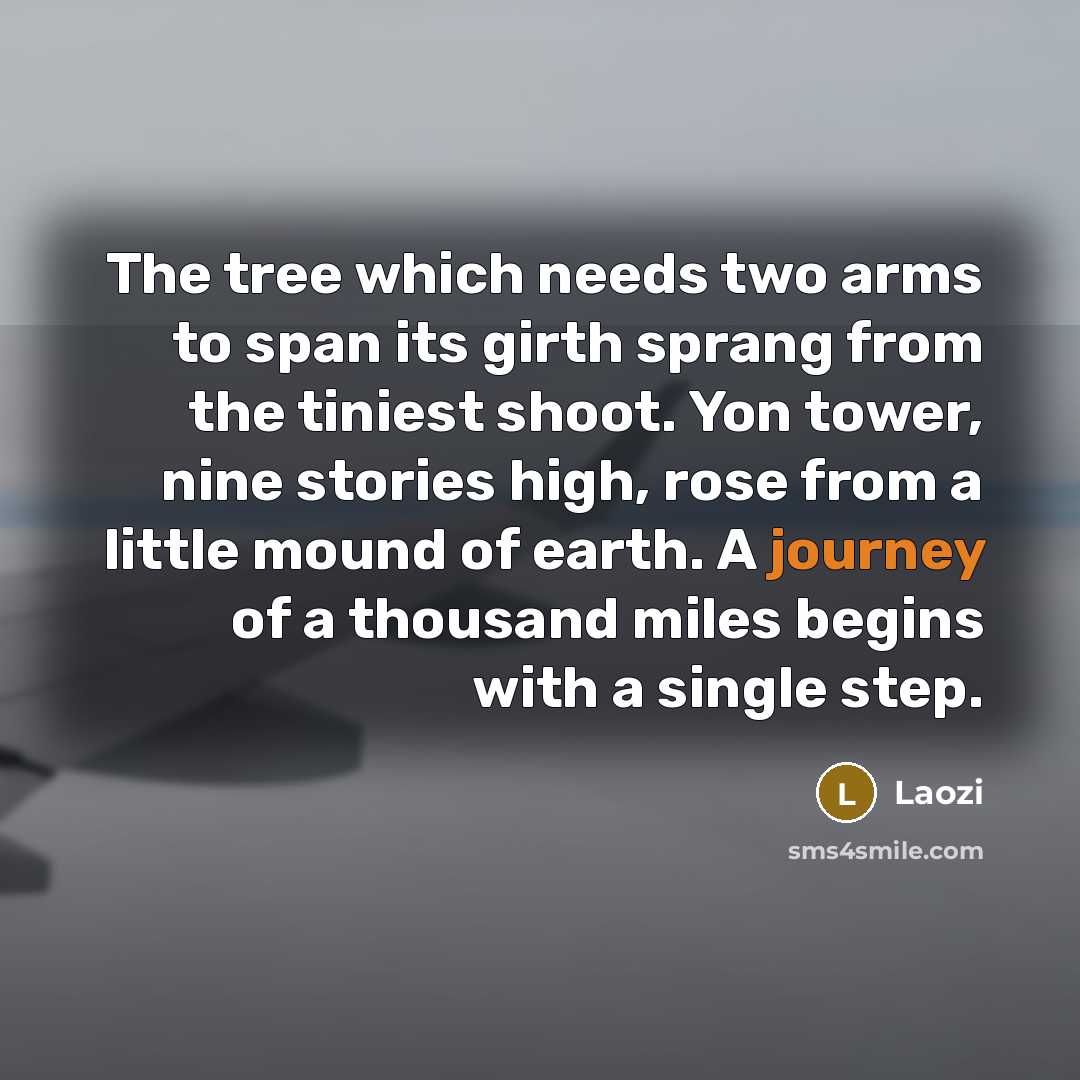 “The tree which needs two arms to span its girth sprang from the tiniest shoot. Yon tower, nine stories high, rose from a little mound of earth. A journey of a thousand miles begins with a single step.” quote by Laozi