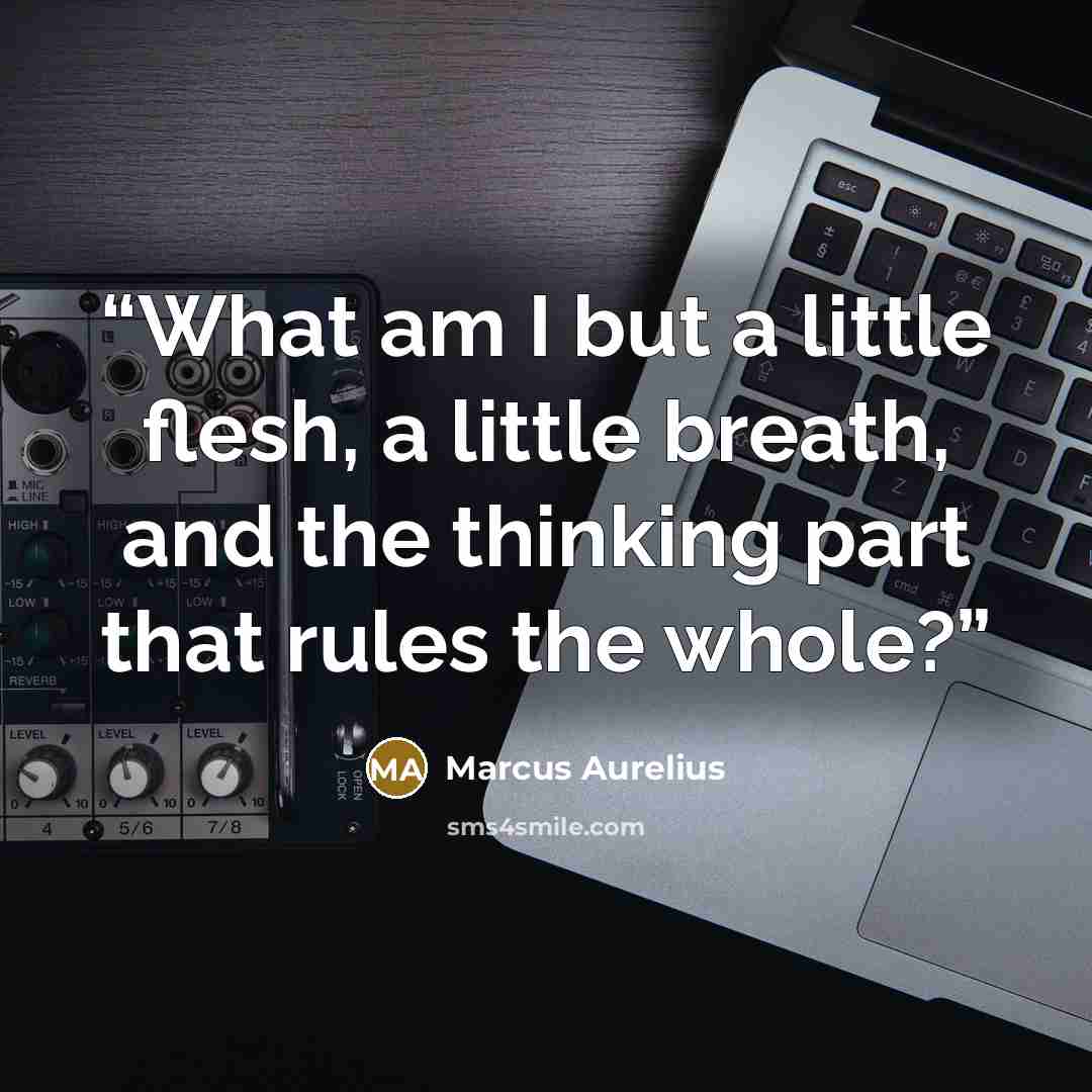 “What am I but a little flesh, a little breath, and the thinking part that rules the whole?” quote by Marcus Aurelius