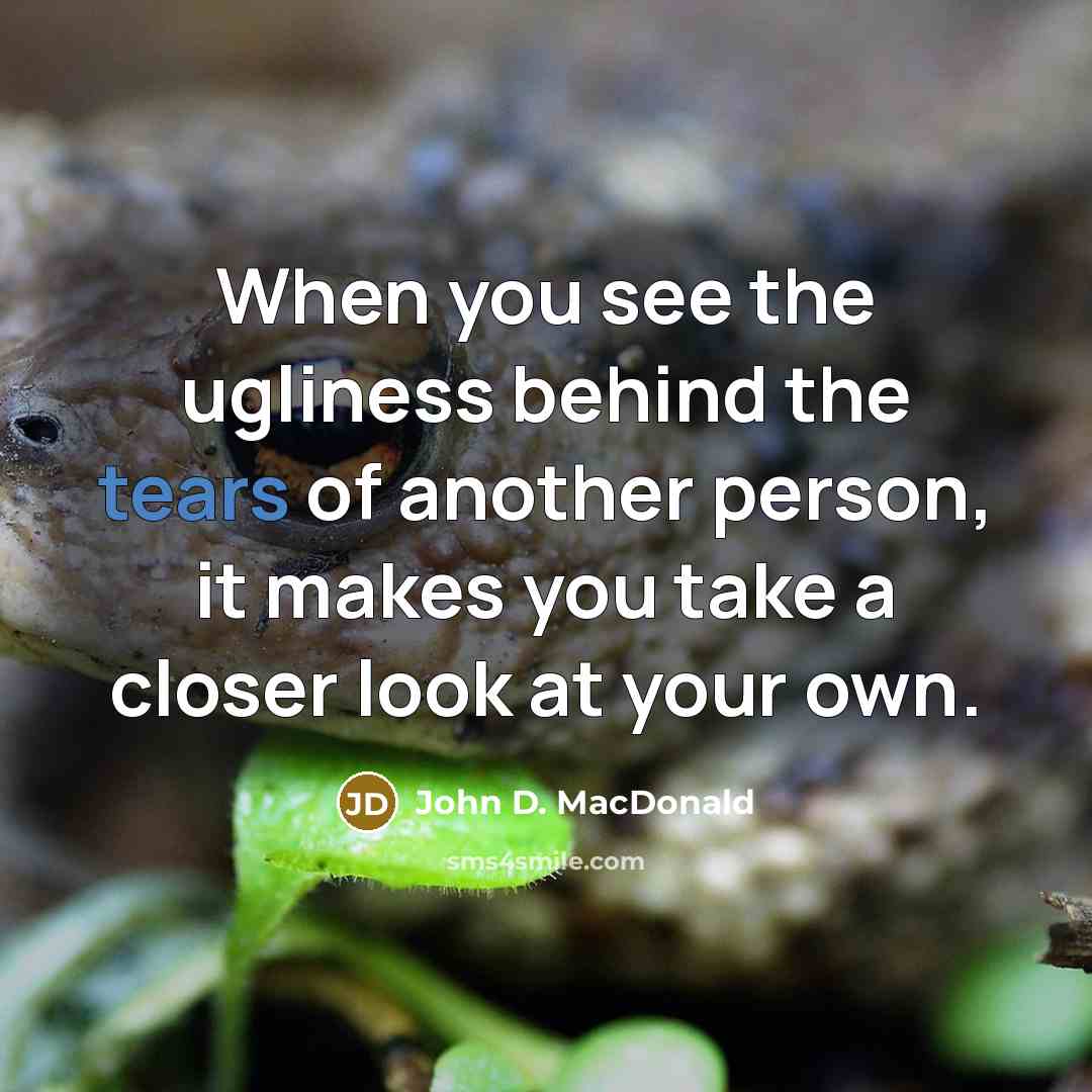 “When you see the ugliness behind the tears of another person, it makes you take a closer look at your own.” quote by John D. MacDonald