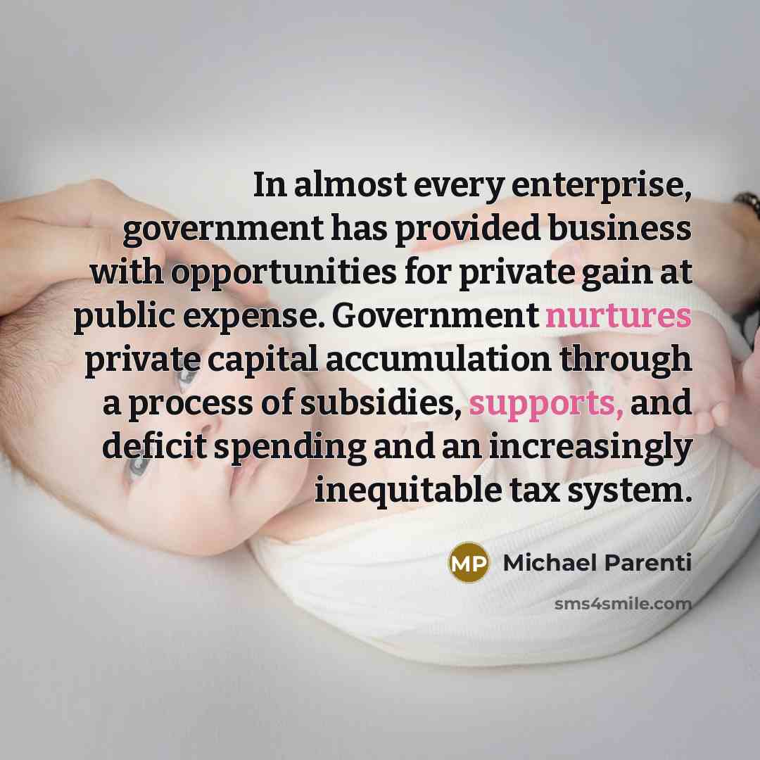 “In almost every enterprise, government has provided business with opportunities for private gain at public expense. Government nurtures private capital accumulation through a process of subsidies, supports, and deficit spending and an increasingly inequitable tax system.” quote by Michael Parenti