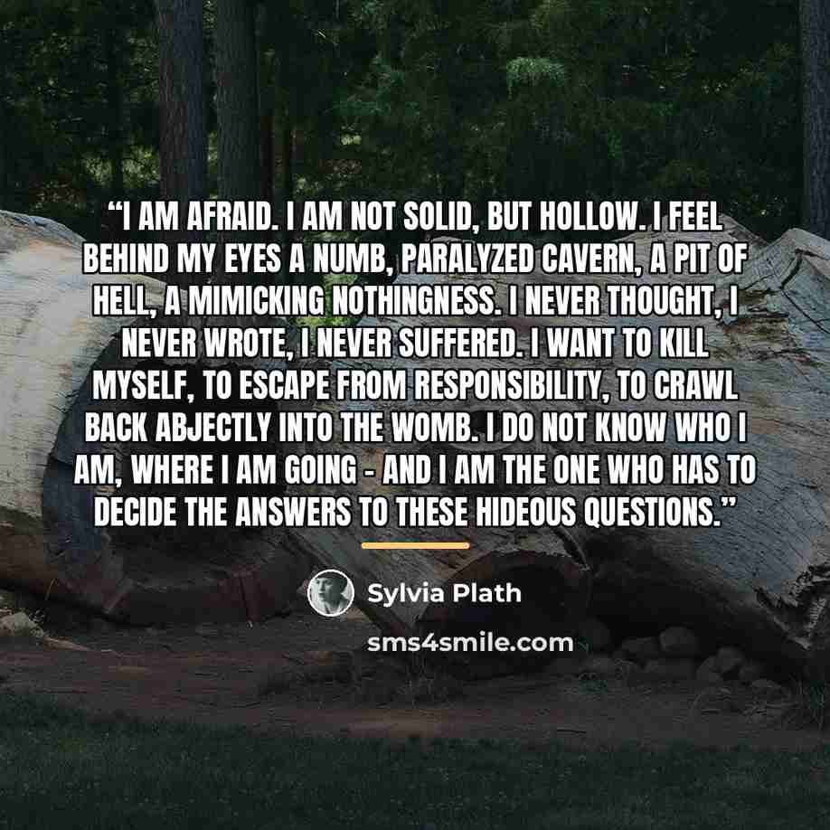 “I am afraid. I am not solid, but hollow. I feel behind my eyes a numb, paralyzed cavern, a pit of hell, a mimicking nothingness. I never thought, I never wrote, I never suffered. I want to kill myself, to escape from responsibility, to crawl back abjectly into the womb. I do not know who I am…” quote by Sylvia Plath