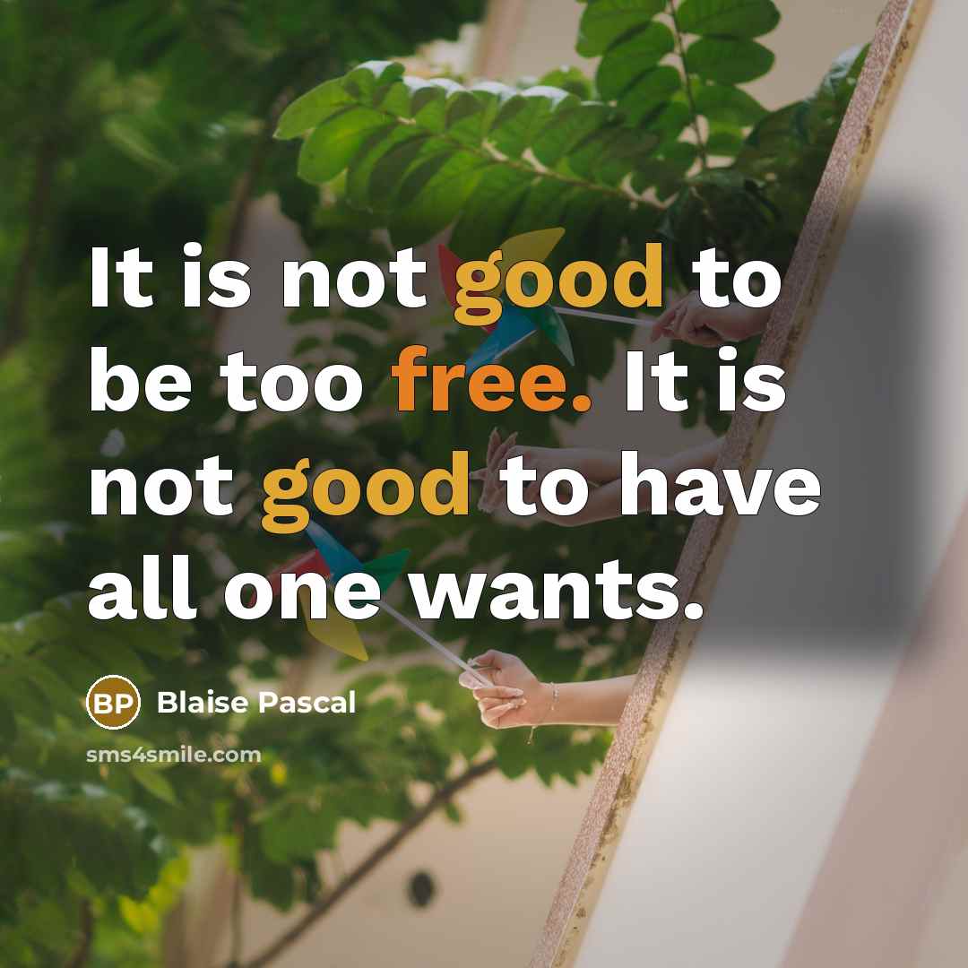 “It is not good to be too free. It is not good to have all one wants.” quote by Blaise Pascal