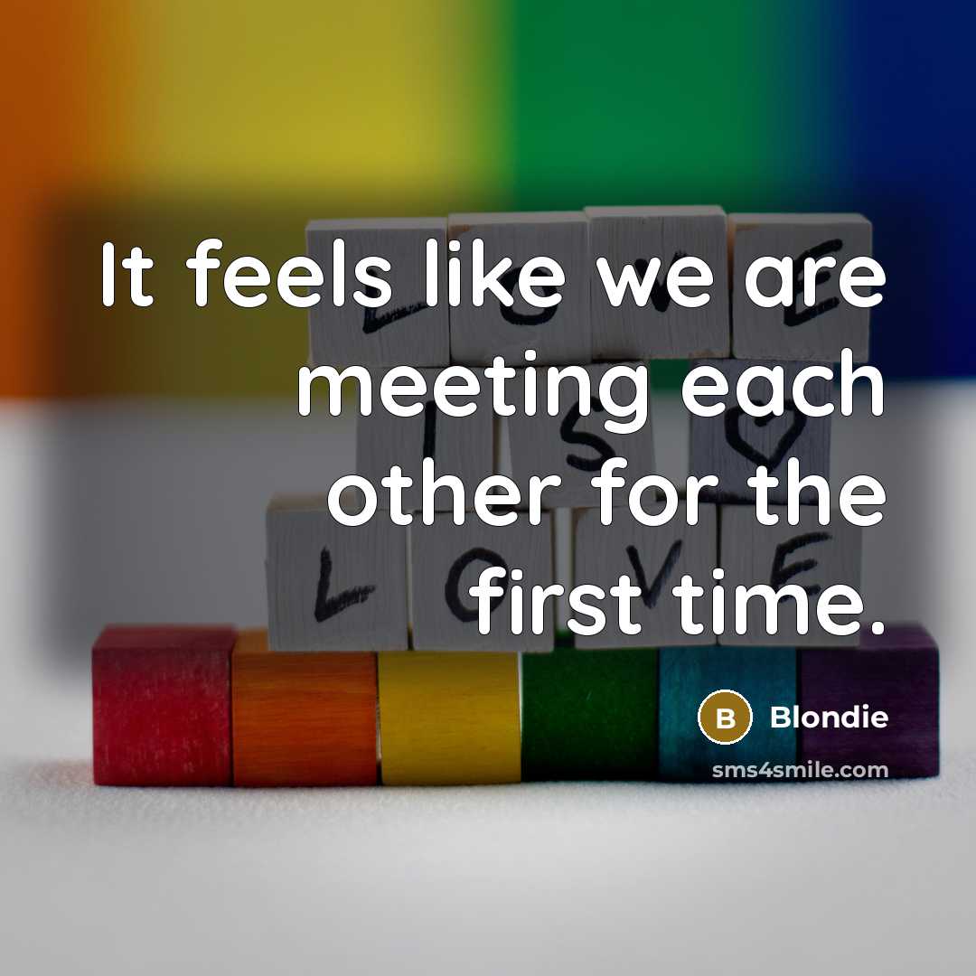 “It feels like we are meeting each other for the first time.” quote by Blondie