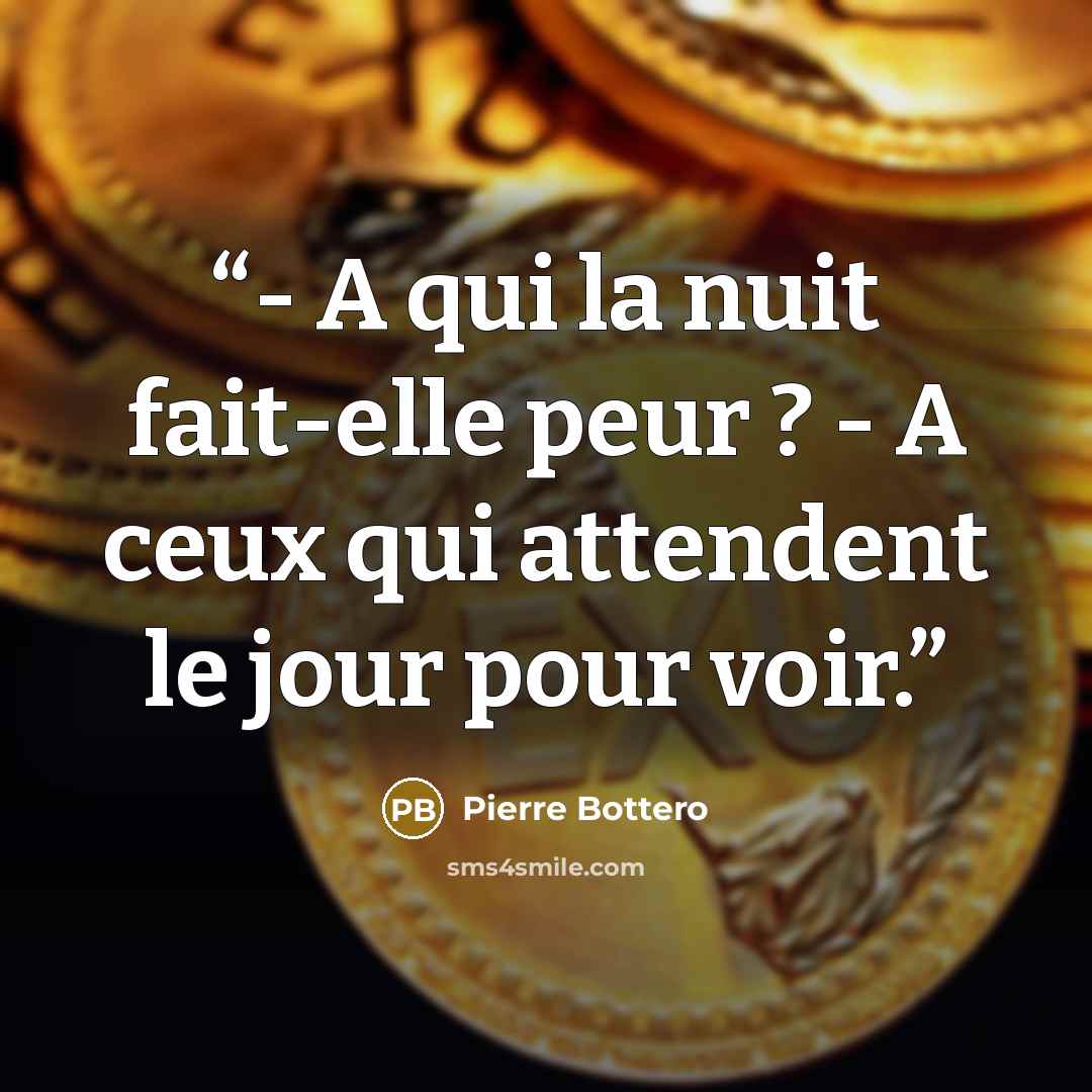 “- A qui la nuit fait-elle peur ? - A ceux qui attendent le jour pour voir.” quote by Pierre Bottero