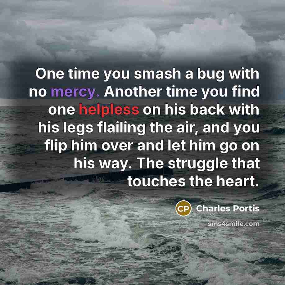 “One time you smash a bug with no mercy. Another time you find one helpless on his back with his legs flailing the air, and you flip him over and let him go on his way. The struggle that touches the heart.” quote by Charles Portis