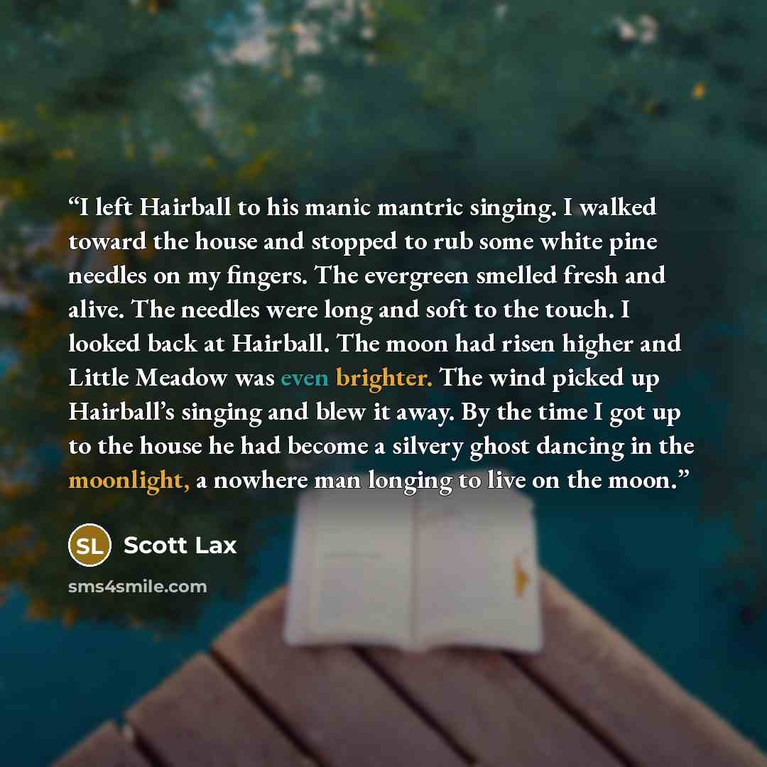“I left Hairball to his manic mantric singing. I walked toward the house and stopped to rub some white pine needles on my fingers. The evergreen smelled fresh and alive. The needles were long and soft to the touch. I looked back at Hairball. The moon had risen higher and Little Meadow was even…” quote by Scott Lax