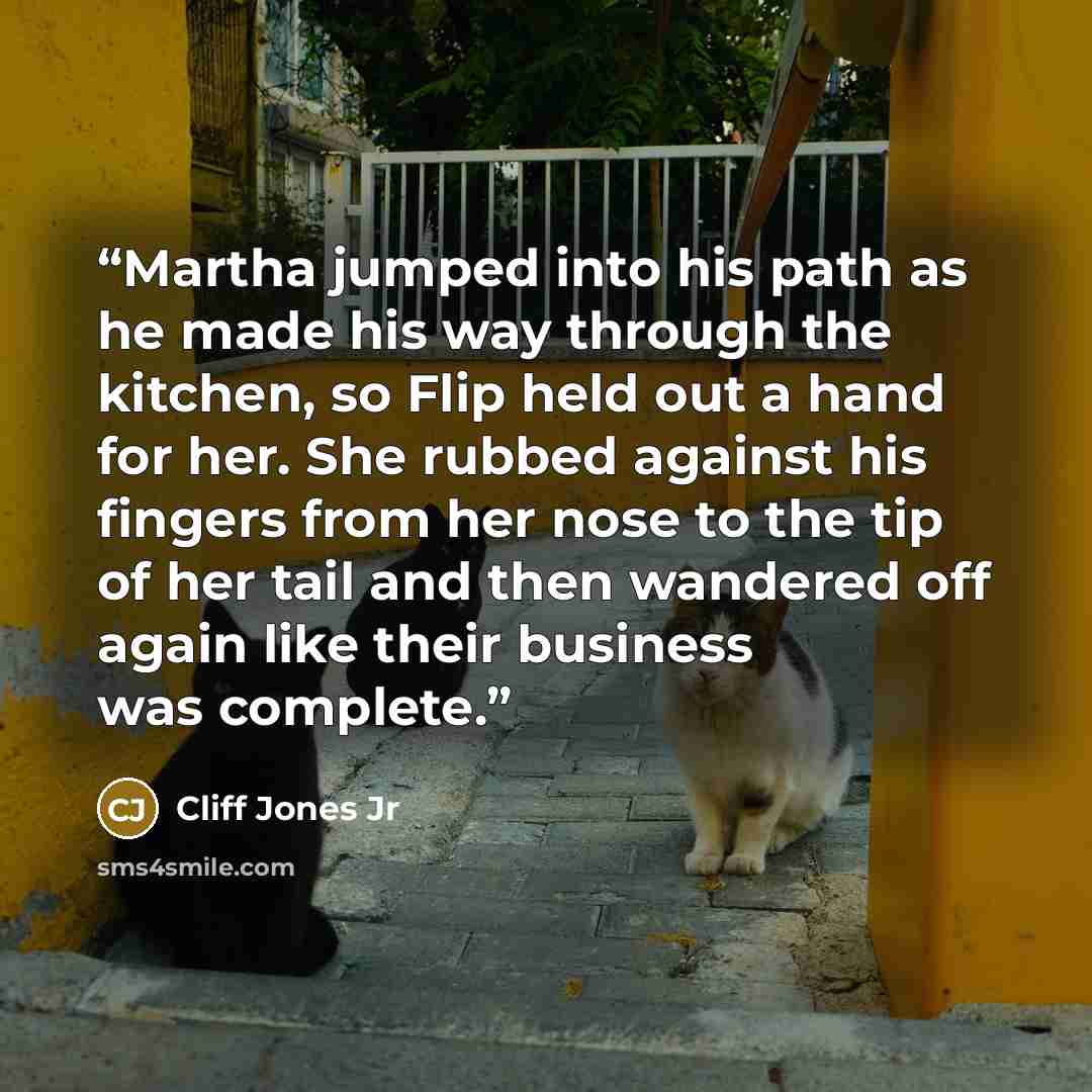 “Martha jumped into his path as he made his way through the kitchen, so Flip held out a hand for her. She rubbed against his fingers from her nose to the tip of her tail and then wandered off again like their business was complete.” quote by Cliff Jones Jr