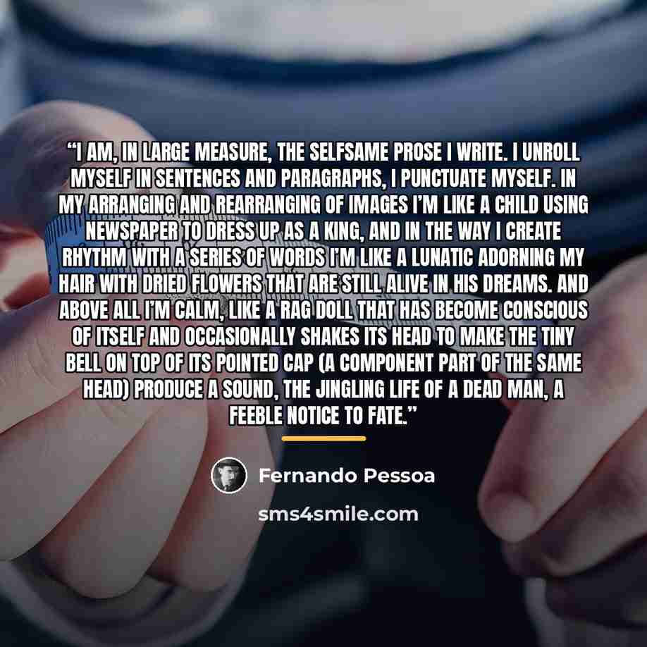“I am, in large measure, the selfsame prose I write. I unroll myself in sentences and paragraphs, I punctuate myself. In my arranging and rearranging of images I’m like a child using newspaper to dress up as a king, and in the way I create rhythm with a series of words I’m like a lunatic adorning…” quote by Fernando Pessoa