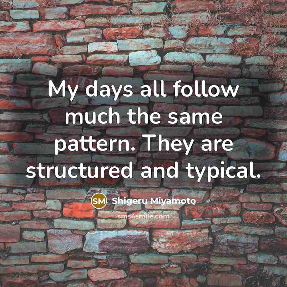 “My days all follow much the same pattern. They are structured and typical.” quote by Shigeru Miyamoto
