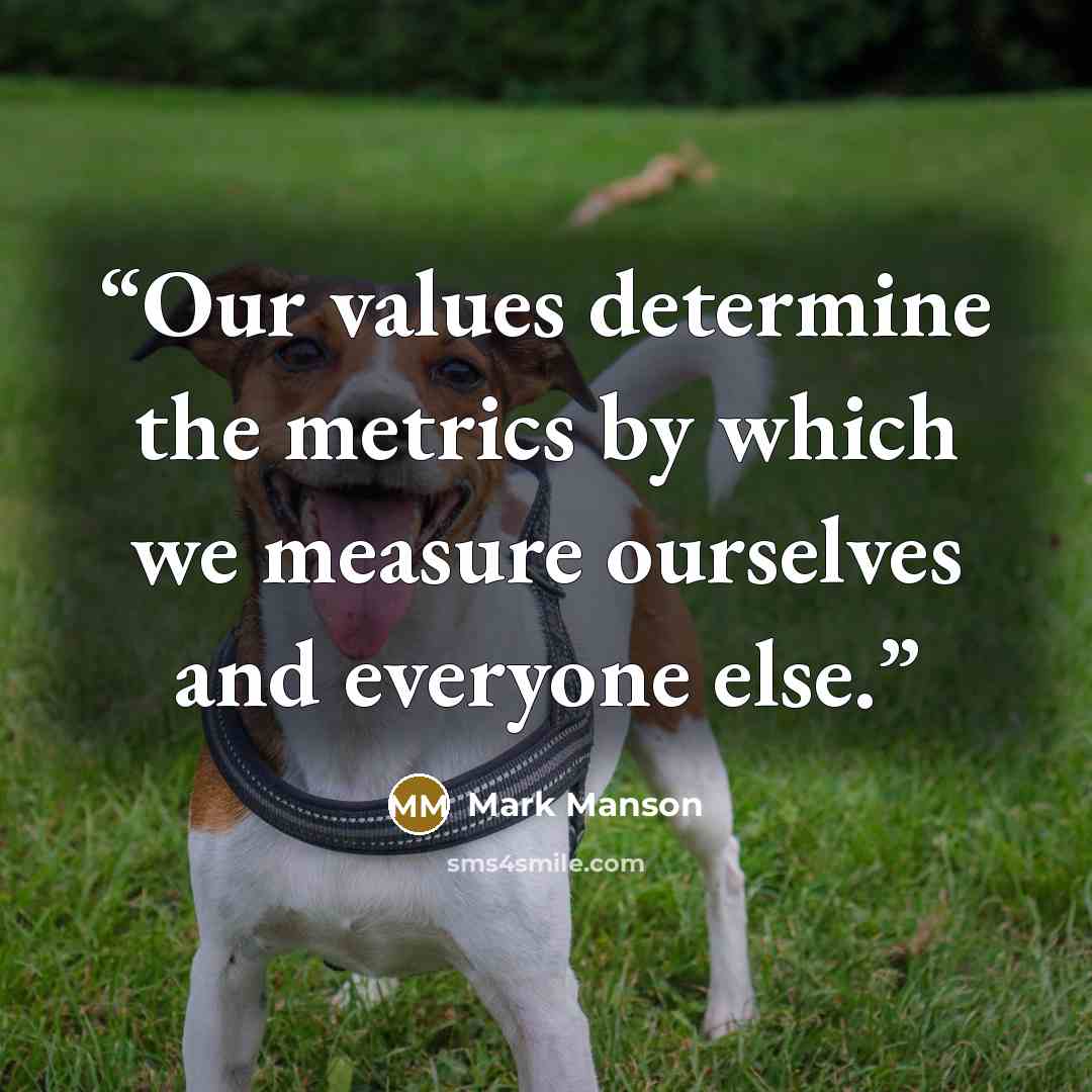 “Our values determine the metrics by which we measure ourselves and everyone else.” quote by Mark Manson