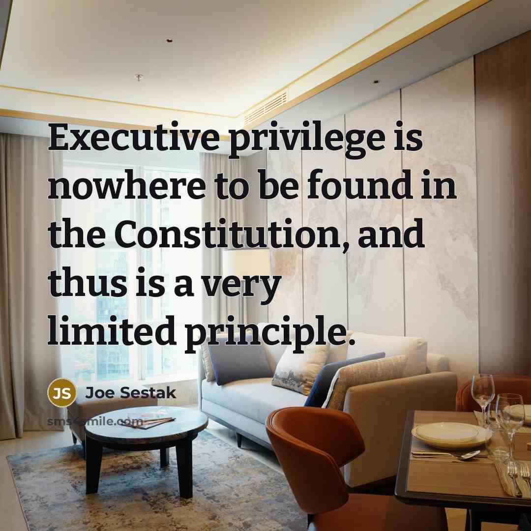 “Executive privilege is nowhere to be found in the Constitution, and thus is a very limited principle.” quote by Joe Sestak