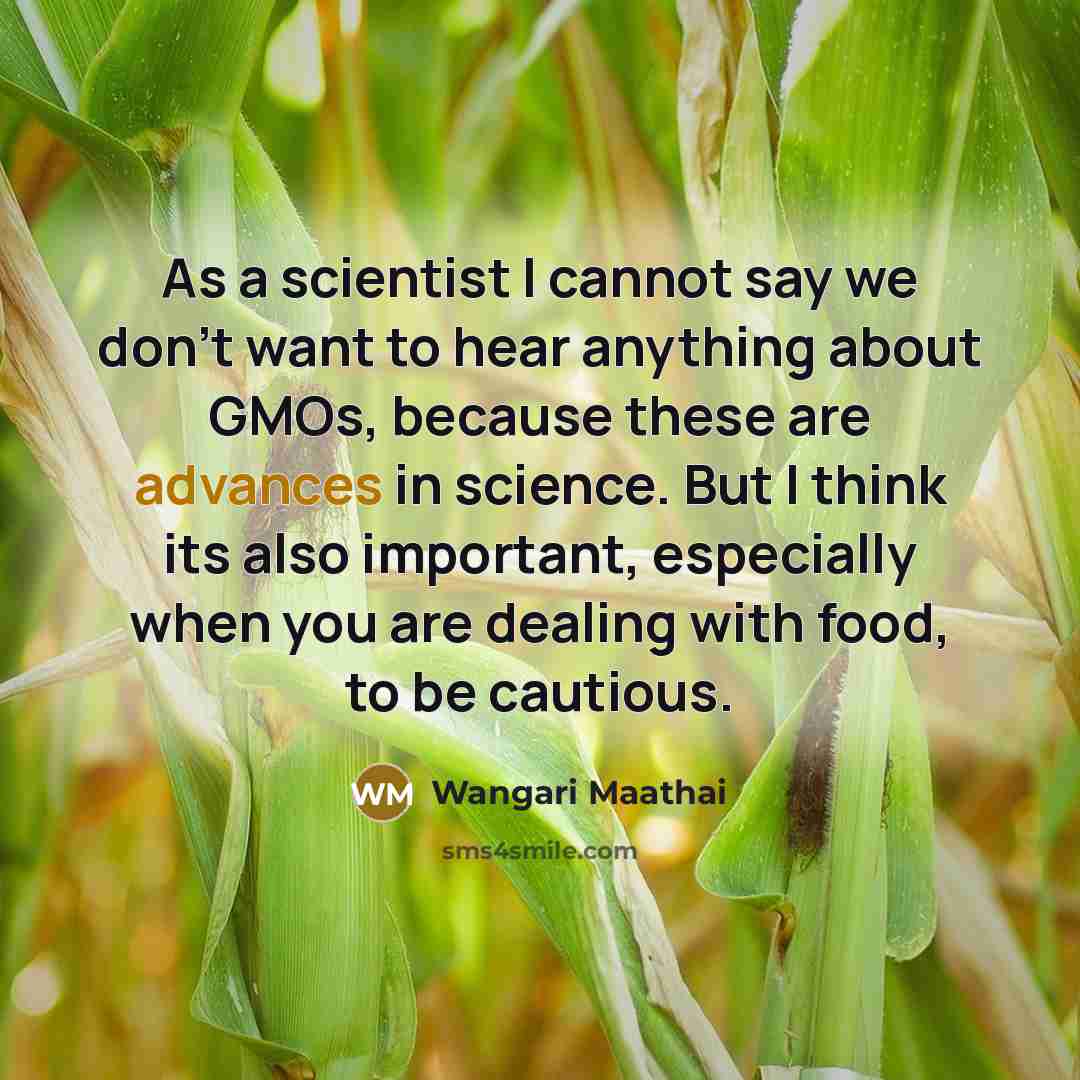 “As a scientist I cannot say we don't want to hear anything about GMOs, because these are advances in science. But I think its also important, especially when you are dealing with food, to be cautious.” quote by Wangari Maathai