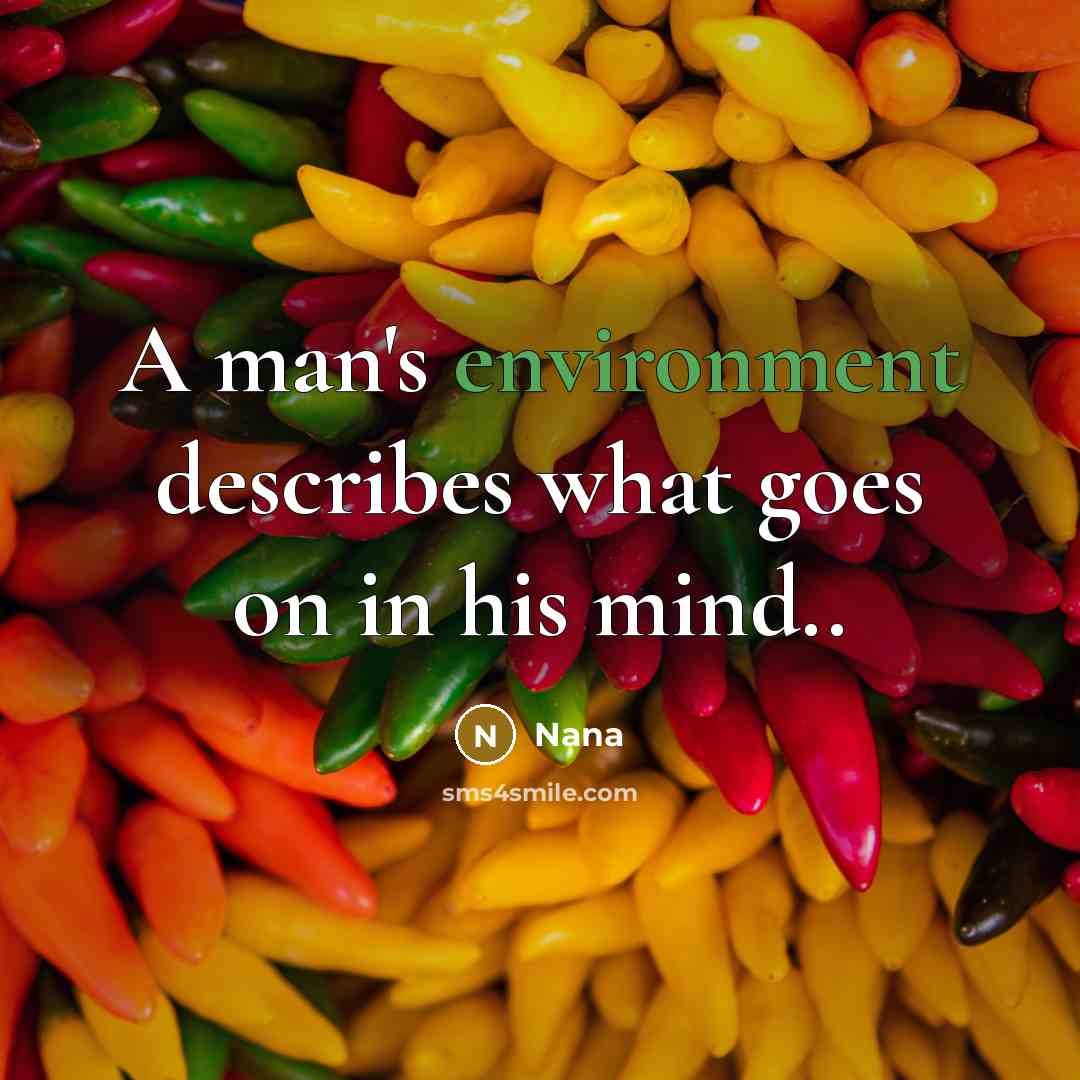 “A man's environment describes what goes on in his mind..” quote by Nana
