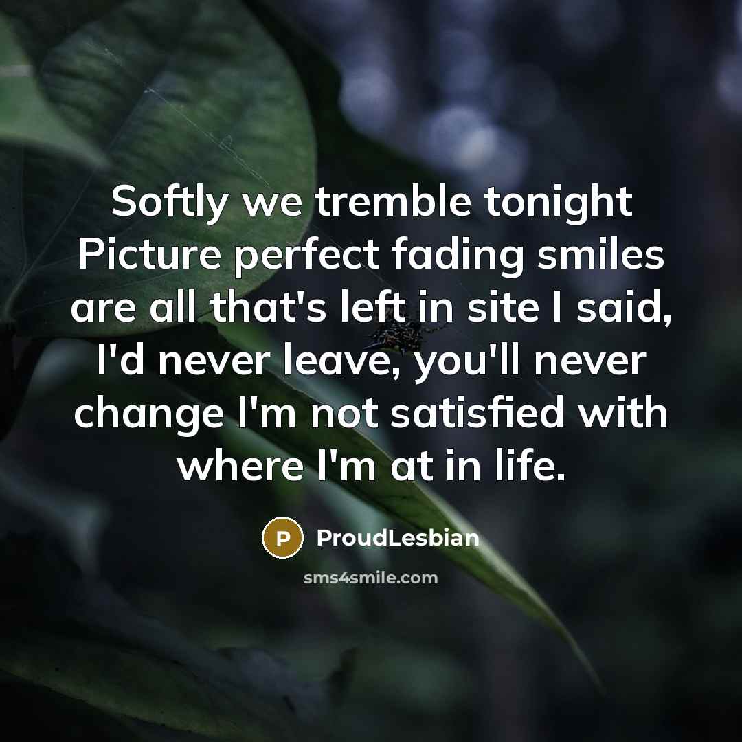 “Softly we tremble tonight Picture perfect fading smiles are all that's left in site I said, I'd never leave, you'll never change I'm not satisfied with where I'm at in life.” quote by ProudLesbian