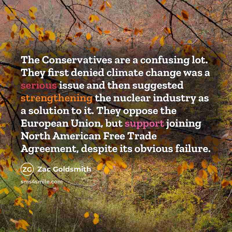“The Conservatives are a confusing lot. They first denied climate change was a serious issue and then suggested strengthening the nuclear industry as a solution to it. They oppose the European Union, but support joining North American Free Trade Agreement, despite its obvious failure.” quote by Zac Goldsmith
