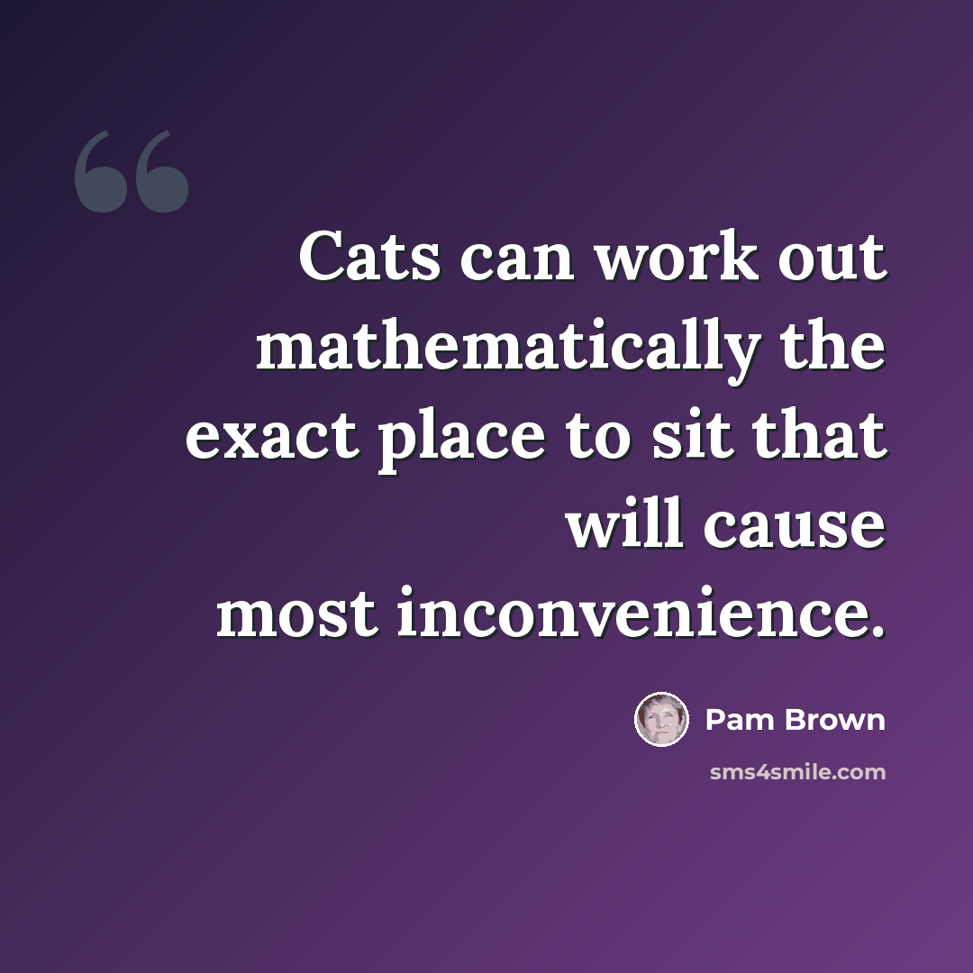 “Cats can work out mathematically the exact place to sit that will cause most inconvenience.” quote by Pam Brown