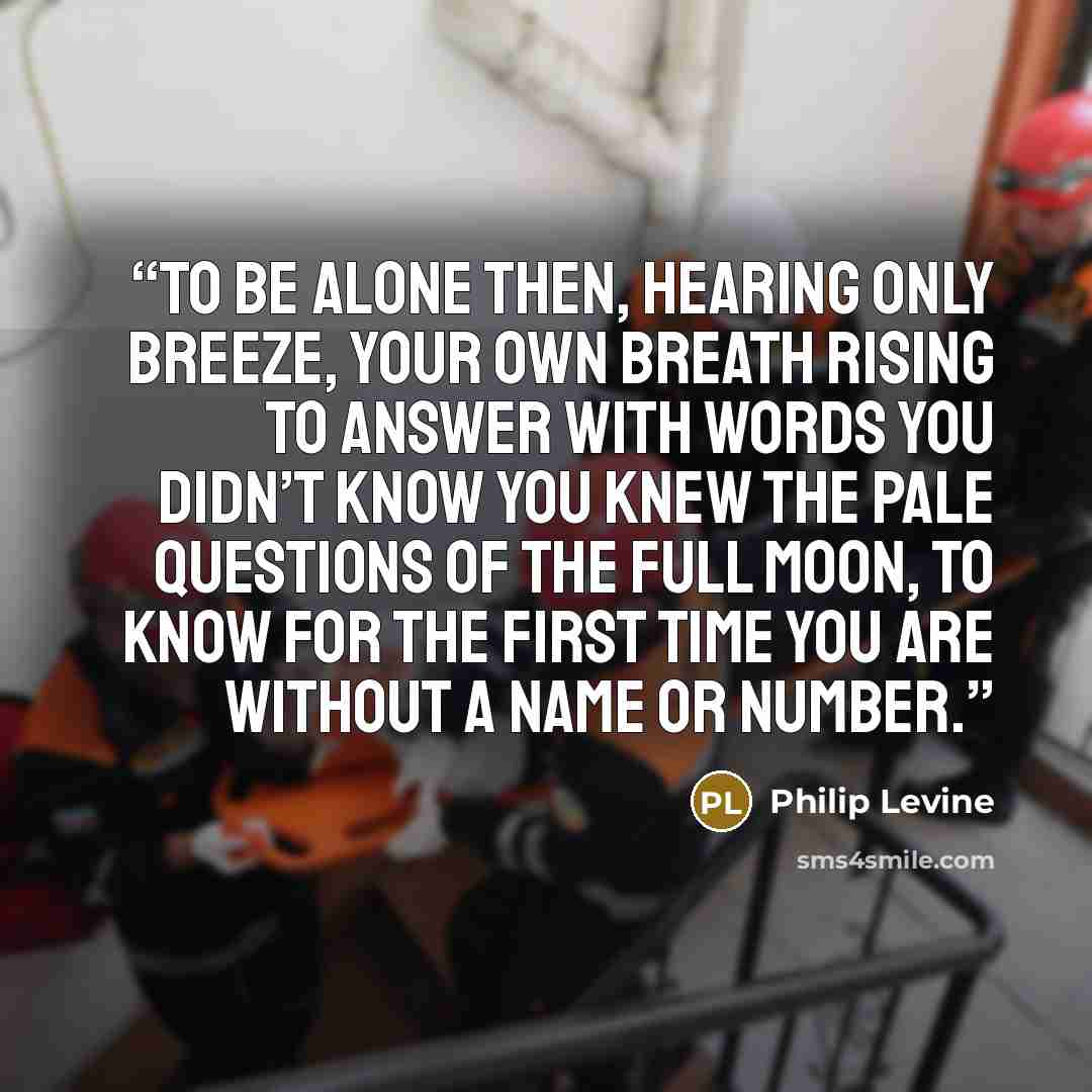 “To be alone then, hearing only breeze, your own breath rising to answer with words you didn’t know you knew the pale questions of the full moon, to know for the first time you are without a name or number.” quote by Philip Levine