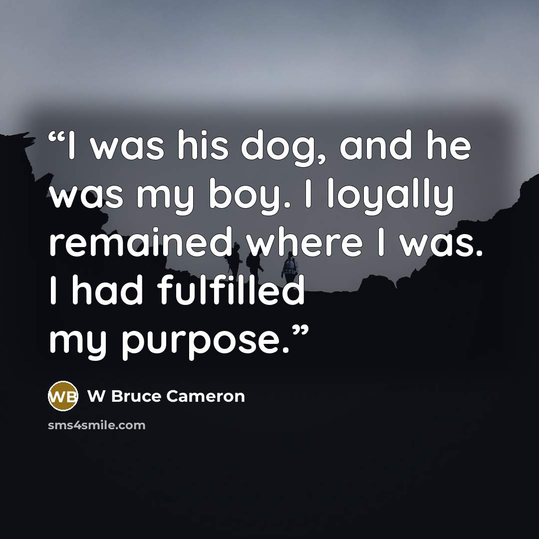 “I was his dog, and he was my boy. I loyally remained where I was. I had fulfilled my purpose.” quote by W Bruce Cameron