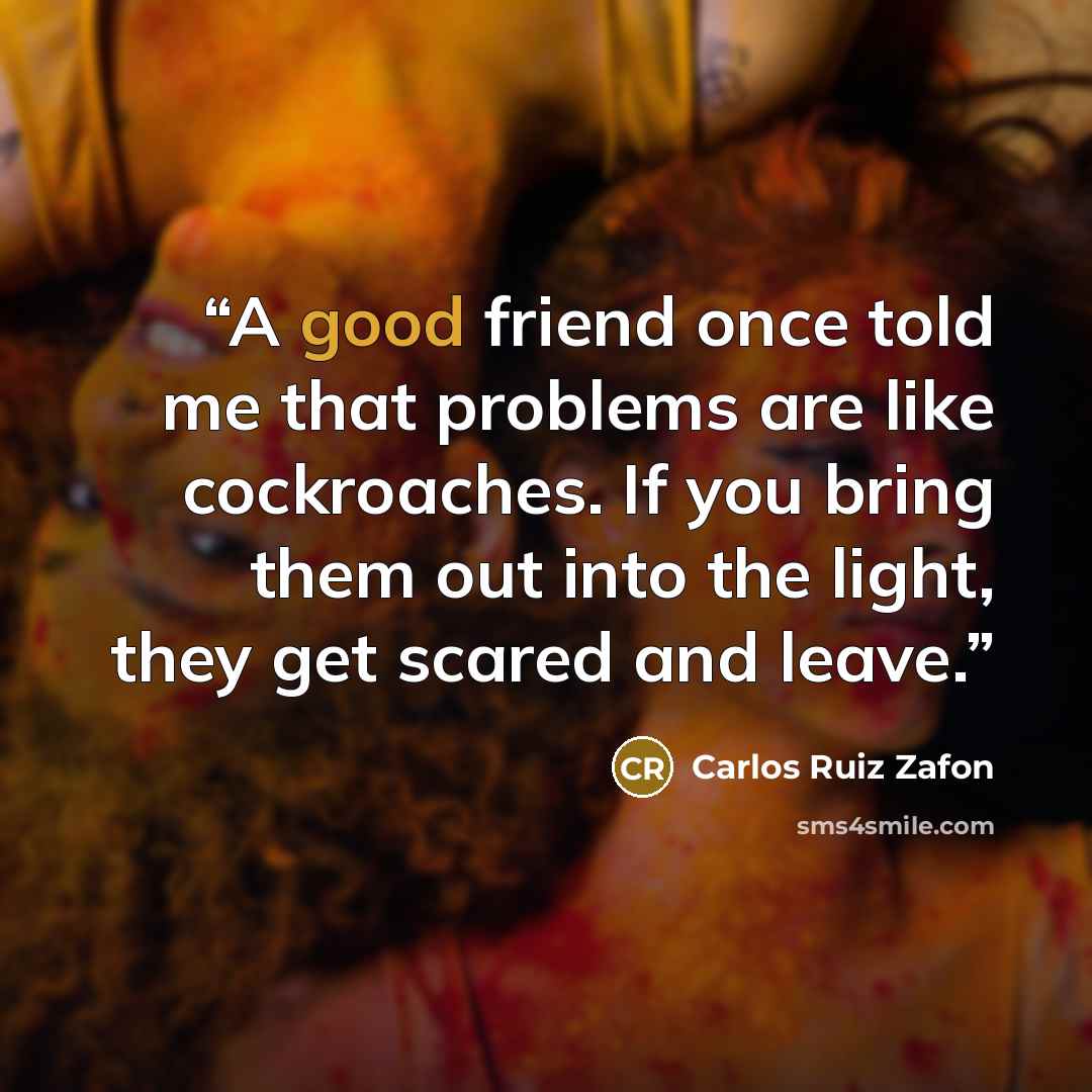 “A good friend once told me that problems are like cockroaches. If you bring them out into the light, they get scared and leave.” quote by Carlos Ruiz Zafón