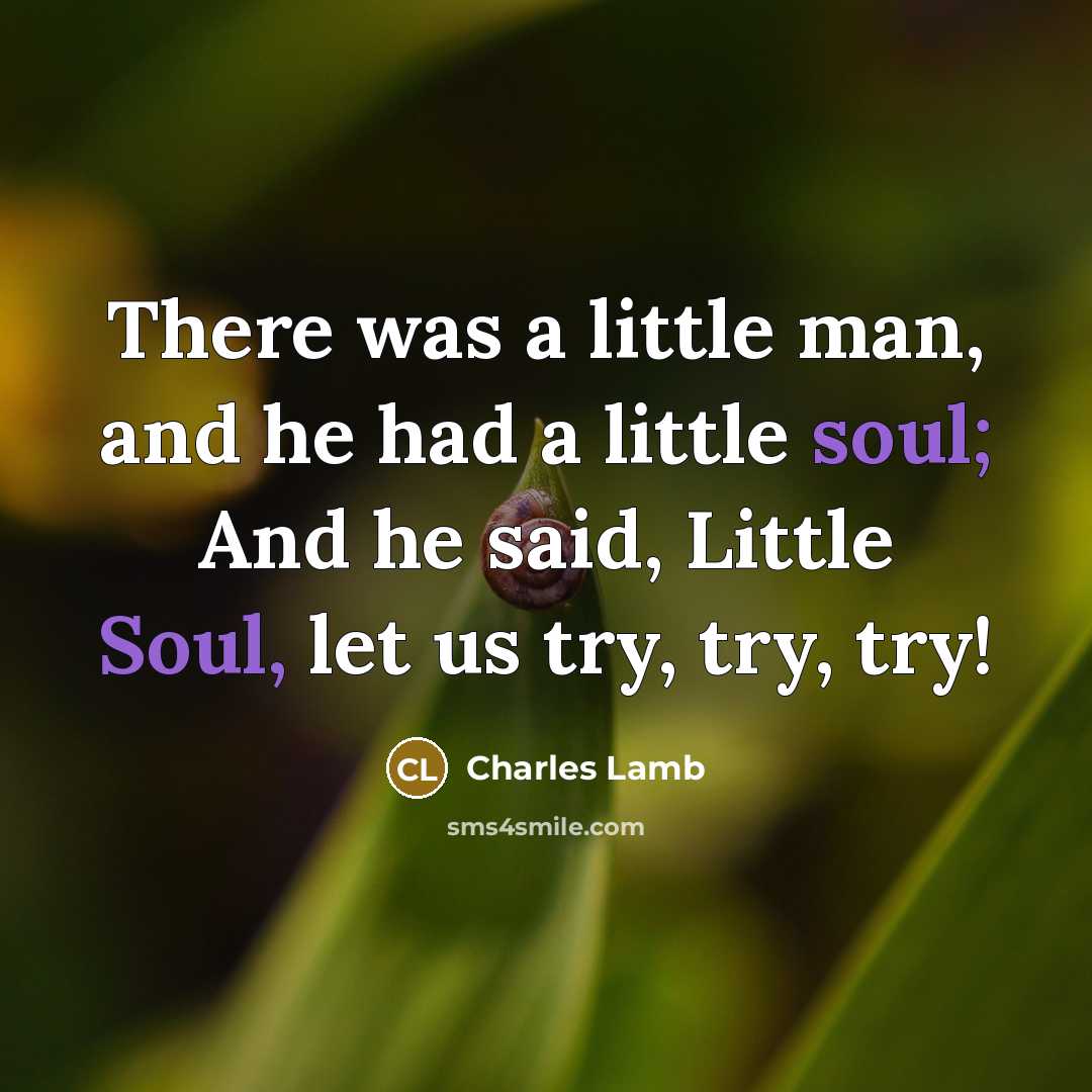 “There was a little man, and he had a little soul; And he said, Little Soul, let us try, try, try!” quote by Charles Lamb