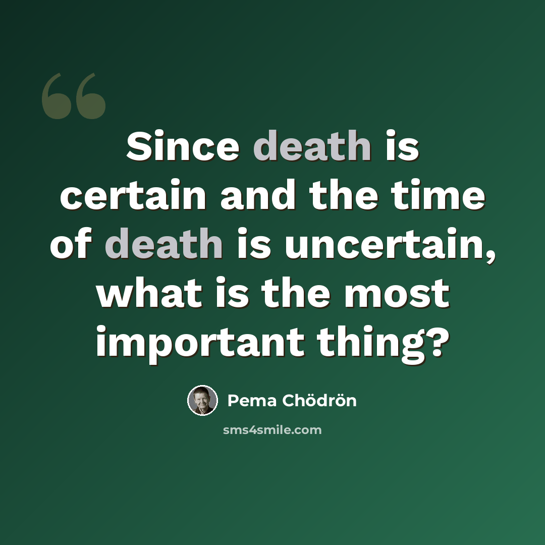 “Since death is certain and the time of death is uncertain, what is the most important thing?” quote by Pema Chodron