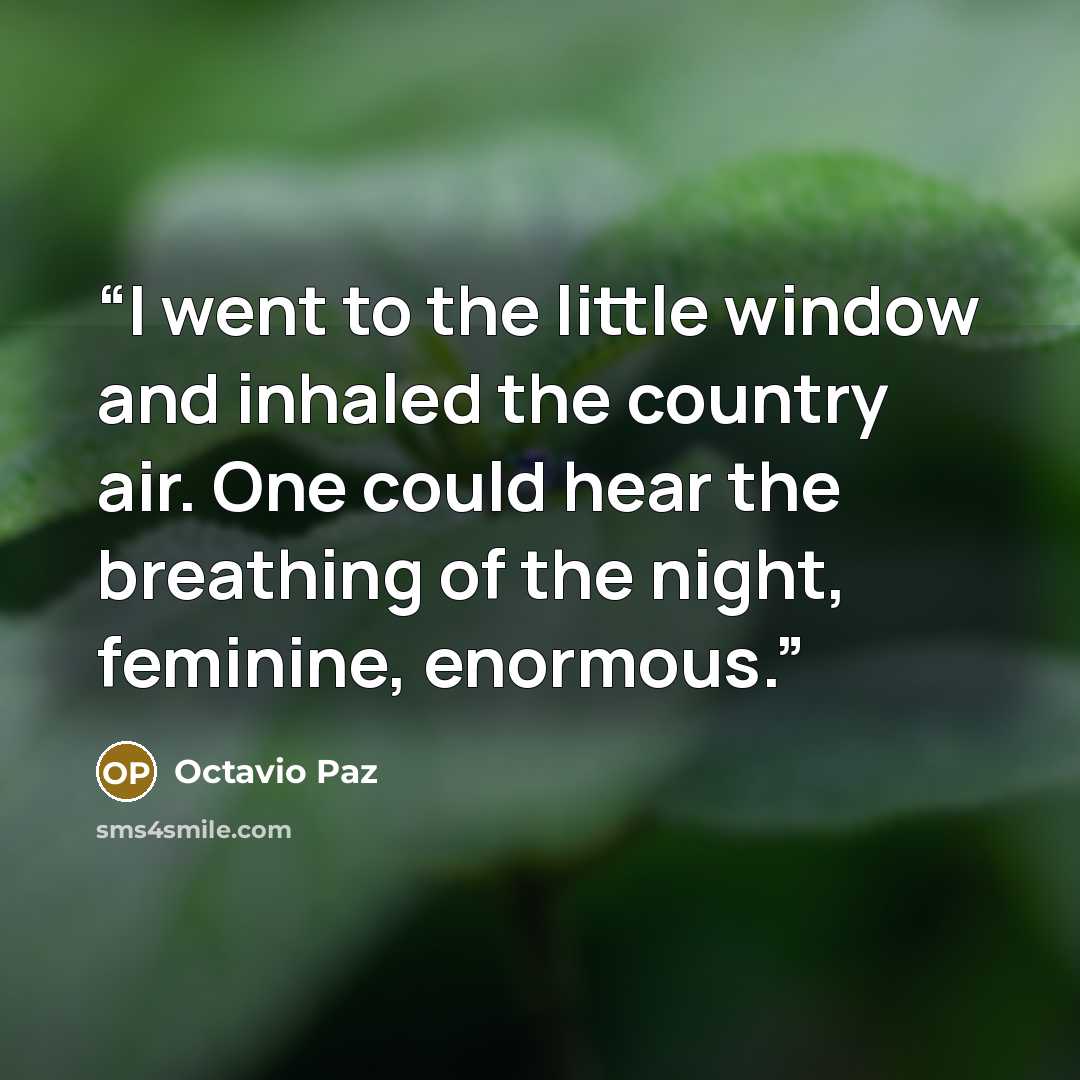 “I went to the little window and inhaled the country air. One could hear the breathing of the night, feminine, enormous.” quote by Octavio Paz