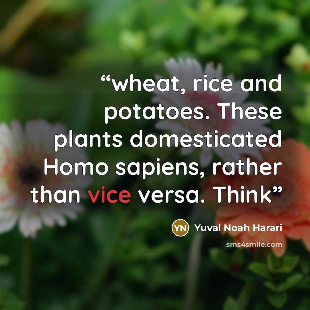 “wheat, rice and potatoes. These plants domesticated Homo sapiens, rather than vice versa. Think” quote by Yuval Noah Harari