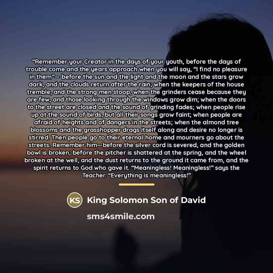 “Remember your Creator in the days of your youth, before the days of trouble come and the years approach when you will say, “I find no pleasure in them”— before the sun and the light and the moon and the stars grow dark, and the clouds return after the rain; when the keepers of the house tremble…” quote by King Solomon Son of David