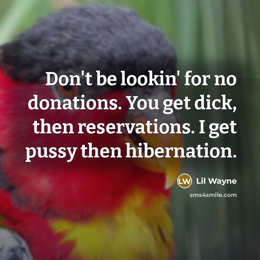 “Don't be lookin' for no donations. You get dick, then reservations. I get pussy then hibernation.” quote by Lil Wayne