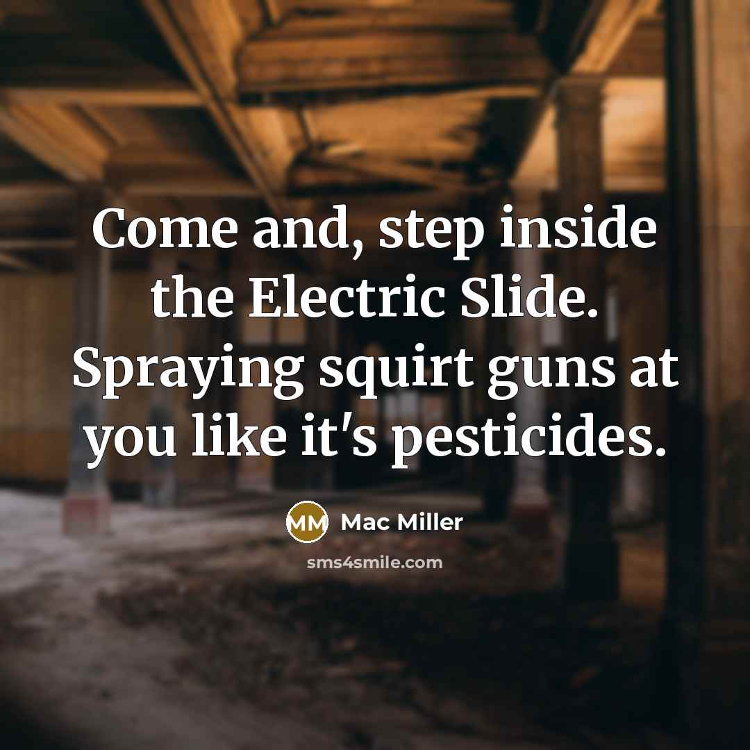 “Come and, step inside the Electric Slide. Spraying squirt guns at you like it's pesticides.” quote by Mac Miller