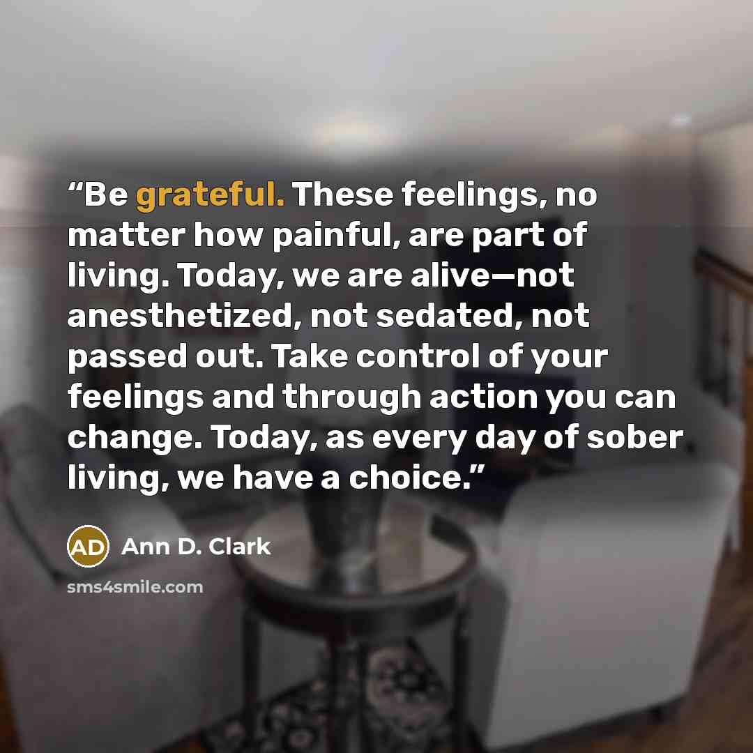 “Be grateful. These feelings, no matter how painful, are part of living. Today, we are alive—not anesthetized, not sedated, not passed out. Take control of your feelings and through action you can change. Today, as every day of sober living, we have a choice.” quote by Ann D. Clark