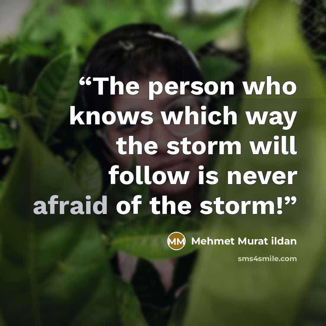 “The person who knows which way the storm will follow is never afraid of the storm!” quote by Mehmet Murat ildan