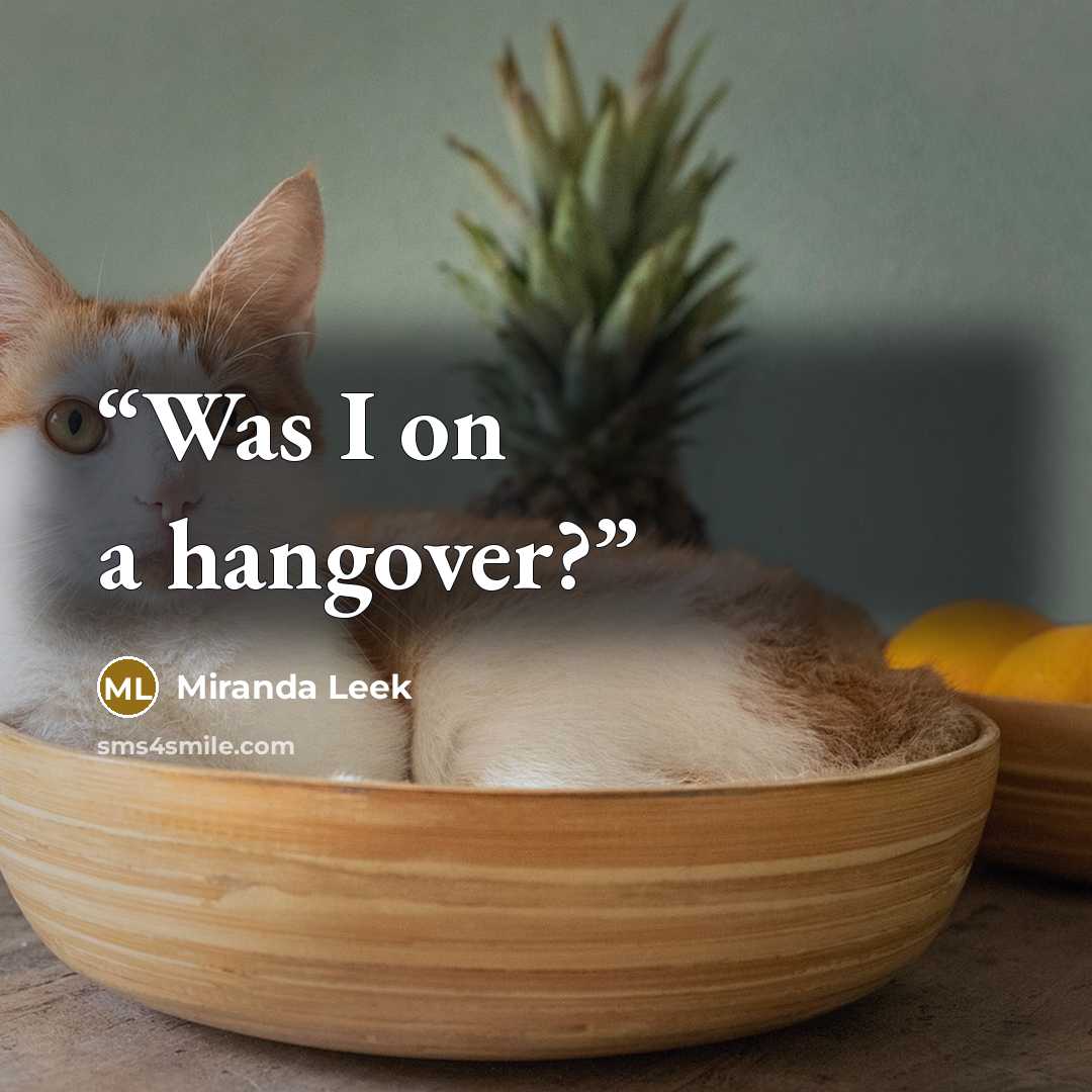 “Was I on a hangover?” quote by Miranda Leek