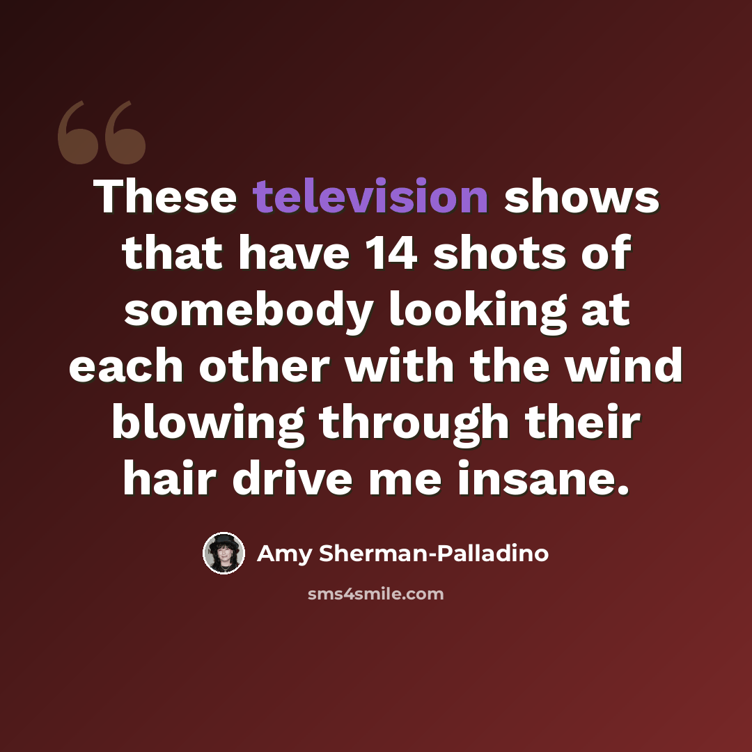 “These television shows that have 14 shots of somebody looking at each other with the wind blowing through their hair drive me insane.” quote by Amy Sherman-Palladino
