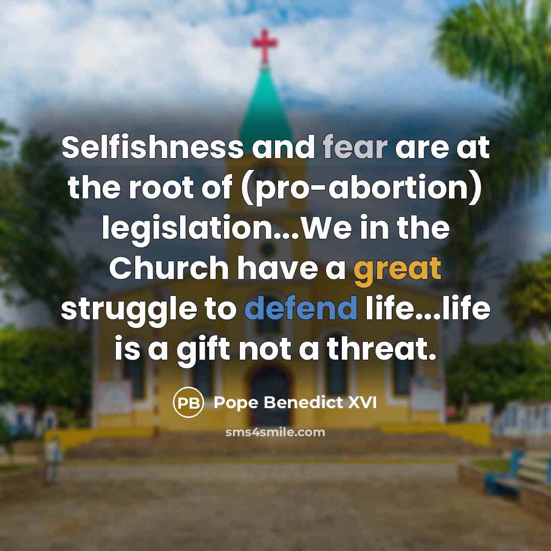 “Selfishness and fear are at the root of (pro-abortion) legislation...We in the Church have a great struggle to defend life...life is a gift not a threat.” quote by Pope Benedict XVI