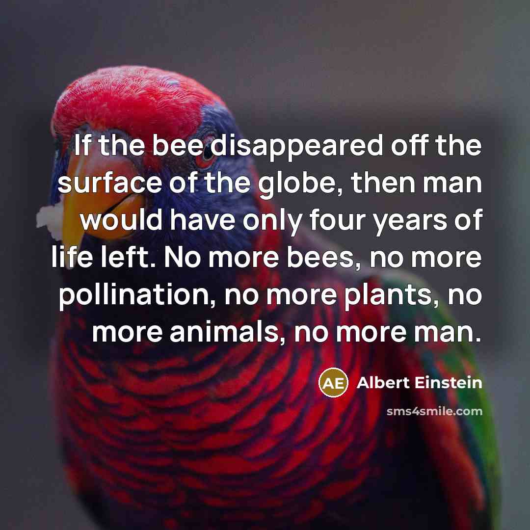 “If the bee disappeared off the surface of the globe, then man would have only four years of life left. No more bees, no more pollination, no more plants, no more animals, no more man.” quote by Albert Einstein